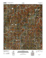 Caddo NE Texas Historical topographic map, 1:24000 scale, 7.5 X 7.5 Minute, Year 2010