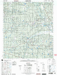 Caiman Creek Texas Historical topographic map, 1:50000 scale, 15 X 15 Minute, Year 2003