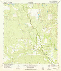 Caiman Creek NE Texas Historical topographic map, 1:24000 scale, 7.5 X 7.5 Minute, Year 1974