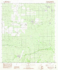 Caiman Creek NW Texas Historical topographic map, 1:24000 scale, 7.5 X 7.5 Minute, Year 1982