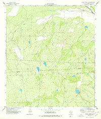 Caiman Creek SE Texas Historical topographic map, 1:24000 scale, 7.5 X 7.5 Minute, Year 1974