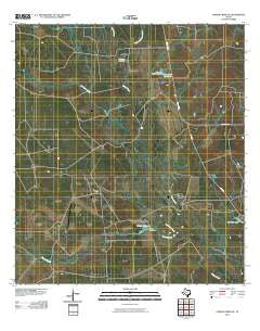 Caiman Creek NE Texas Historical topographic map, 1:24000 scale, 7.5 X 7.5 Minute, Year 2010