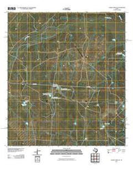Caiman Creek SE Texas Historical topographic map, 1:24000 scale, 7.5 X 7.5 Minute, Year 2010
