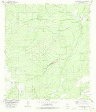 Callaghan Ranch SE Texas Historical topographic map, 1:24000 scale, 7.5 X 7.5 Minute, Year 1980