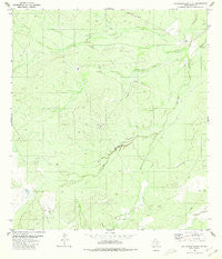 Callaghan Ranch SE Texas Historical topographic map, 1:24000 scale, 7.5 X 7.5 Minute, Year 1980