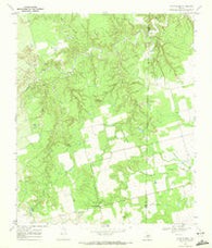 Camp Springs Texas Historical topographic map, 1:24000 scale, 7.5 X 7.5 Minute, Year 1969