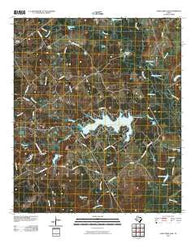Camp Creek Lake Texas Historical topographic map, 1:24000 scale, 7.5 X 7.5 Minute, Year 2010