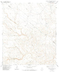 Candilla Canyon West Texas Historical topographic map, 1:24000 scale, 7.5 X 7.5 Minute, Year 1983