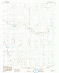 Canyon SE Texas Historical topographic map, 1:24000 scale, 7.5 X 7.5 Minute, Year 1984