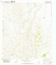 Capote Falls Texas Historical topographic map, 1:24000 scale, 7.5 X 7.5 Minute, Year 1979