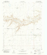 Capps Switch Texas Historical topographic map, 1:24000 scale, 7.5 X 7.5 Minute, Year 1972