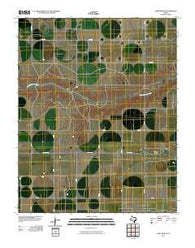 Capps Switch Texas Historical topographic map, 1:24000 scale, 7.5 X 7.5 Minute, Year 2010
