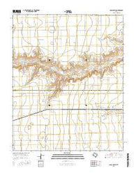 Capps Switch Texas Current topographic map, 1:24000 scale, 7.5 X 7.5 Minute, Year 2016