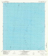 Carancahua Pass Texas Historical topographic map, 1:24000 scale, 7.5 X 7.5 Minute, Year 1980