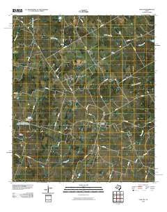 Carlton Texas Historical topographic map, 1:24000 scale, 7.5 X 7.5 Minute, Year 2010