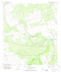 Carrizo Springs NW Texas Historical topographic map, 1:24000 scale, 7.5 X 7.5 Minute, Year 1972
