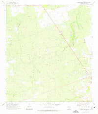 Carrizo Springs West Texas Historical topographic map, 1:24000 scale, 7.5 X 7.5 Minute, Year 1972