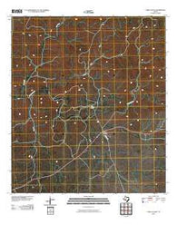 Carta Valley Texas Historical topographic map, 1:24000 scale, 7.5 X 7.5 Minute, Year 2010