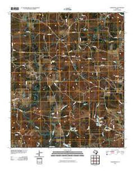 Carterville Texas Historical topographic map, 1:24000 scale, 7.5 X 7.5 Minute, Year 2010