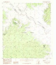 Cassells-Boykin Park Texas Historical topographic map, 1:24000 scale, 7.5 X 7.5 Minute, Year 1984