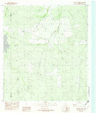 Cayetano Creek Texas Historical topographic map, 1:24000 scale, 7.5 X 7.5 Minute, Year 1982
