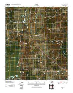 Cayuga Texas Historical topographic map, 1:24000 scale, 7.5 X 7.5 Minute, Year 2010
