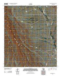 Cedar Arroyo Texas Historical topographic map, 1:24000 scale, 7.5 X 7.5 Minute, Year 2010