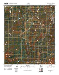 Cement Mountain Texas Historical topographic map, 1:24000 scale, 7.5 X 7.5 Minute, Year 2010