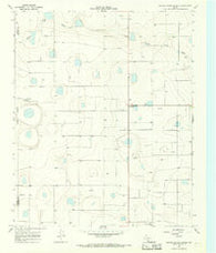 Center Plains School Texas Historical topographic map, 1:24000 scale, 7.5 X 7.5 Minute, Year 1965