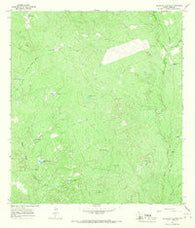 Cerritos Blancos Texas Historical topographic map, 1:24000 scale, 7.5 X 7.5 Minute, Year 1965