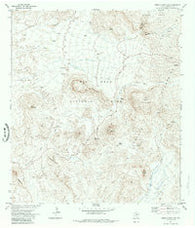 Cerro Castellan Texas Historical topographic map, 1:24000 scale, 7.5 X 7.5 Minute, Year 1971