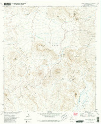 Cerro Castellan Texas Historical topographic map, 1:24000 scale, 7.5 X 7.5 Minute, Year 1971