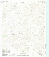 Cerro Redondo Texas Historical topographic map, 1:24000 scale, 7.5 X 7.5 Minute, Year 1983