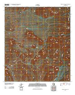 Cerro Castellan Texas Historical topographic map, 1:24000 scale, 7.5 X 7.5 Minute, Year 2010