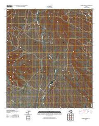 Cerros Prietos Texas Historical topographic map, 1:24000 scale, 7.5 X 7.5 Minute, Year 2010