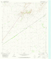 Chancellor Texas Historical topographic map, 1:24000 scale, 7.5 X 7.5 Minute, Year 1980