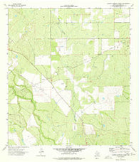 Charco Marrano Creek Texas Historical topographic map, 1:24000 scale, 7.5 X 7.5 Minute, Year 1974