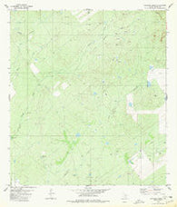 Chargos Creek Texas Historical topographic map, 1:24000 scale, 7.5 X 7.5 Minute, Year 1980