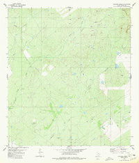 Chargos Creek Texas Historical topographic map, 1:24000 scale, 7.5 X 7.5 Minute, Year 1980