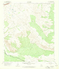 China Lake Texas Historical topographic map, 1:24000 scale, 7.5 X 7.5 Minute, Year 1963