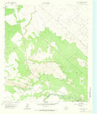 China Lake NE Texas Historical topographic map, 1:24000 scale, 7.5 X 7.5 Minute, Year 1963