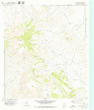 Chinati Peak Texas Historical topographic map, 1:24000 scale, 7.5 X 7.5 Minute, Year 1979