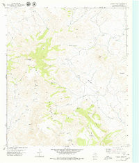 Chinati Peak Texas Historical topographic map, 1:24000 scale, 7.5 X 7.5 Minute, Year 1979