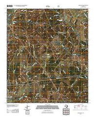 Chinquapin Texas Historical topographic map, 1:24000 scale, 7.5 X 7.5 Minute, Year 2010