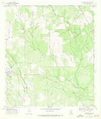 Christine East Texas Historical topographic map, 1:24000 scale, 7.5 X 7.5 Minute, Year 1969