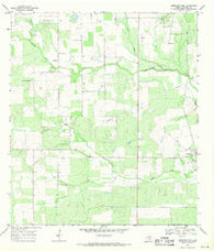 Christine West Texas Historical topographic map, 1:24000 scale, 7.5 X 7.5 Minute, Year 1968