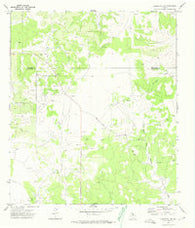 Christoval SE Texas Historical topographic map, 1:24000 scale, 7.5 X 7.5 Minute, Year 1972