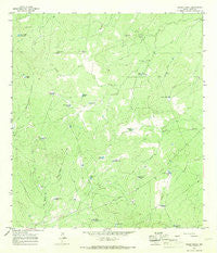 Cibolo Ranch Texas Historical topographic map, 1:24000 scale, 7.5 X 7.5 Minute, Year 1965