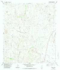 Cieneguita Texas Historical topographic map, 1:24000 scale, 7.5 X 7.5 Minute, Year 1983