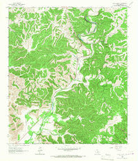 Circle Bluff Texas Historical topographic map, 1:24000 scale, 7.5 X 7.5 Minute, Year 1964